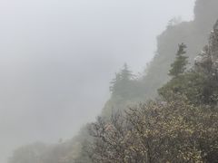 -牛背梁国家森林公园