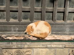 -大学习巷清真寺