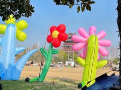 -祥源·阜阳生态乐园