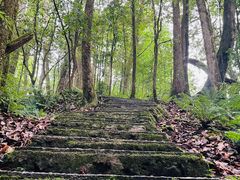 -龙苍沟森林公园