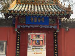 -药王庙(安国市)