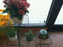 -肯德基(大学路DT店)