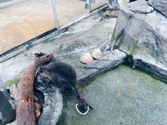 -灵玲国际马戏城