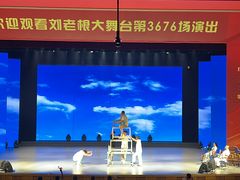 -刘老根大舞台-长春旗舰店