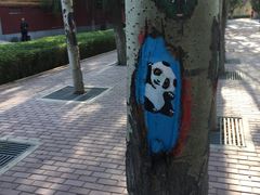 -包头南海湿地景区
