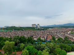 -美的鹭湖探索王国