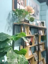 -克拉女神写真馆·匠心定制