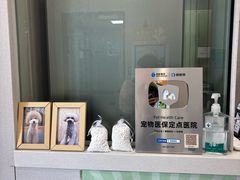 -瑞鹏宠物医院·微创内窥镜·骨外科·牙科(翠竹分院)