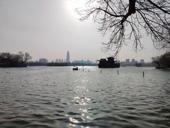 -济南大明湖景区