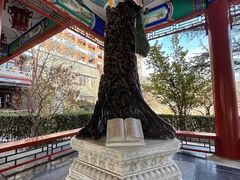 -大明幻境第一城
