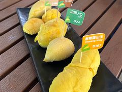 -榴莲BB 四季果园