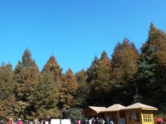-山王坪喀斯特国家生态公园