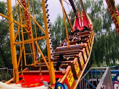 -朝阳公园游乐园