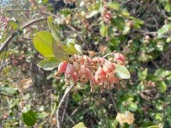 -西归浦真珠食堂