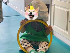 -乐融婴幼儿成长中心(四季青校区)