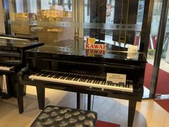 -柏斯音乐艺术中心·钢琴·吉他(上音店)