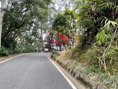 -白云山风景名胜区