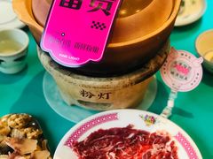 -粉灯牛腩牛杂煲·鸡煲(双井店)