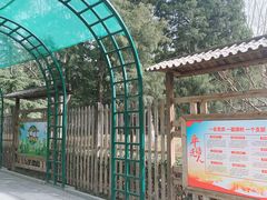 -黄村公园