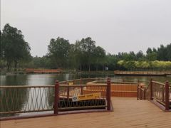 -东郊湿地公园