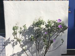 -卡梅尔海