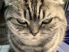 -上海市中医医院(芷江路院区)