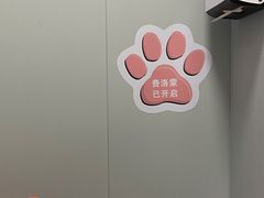 -伟伟宠物医院·瑞派猫友好医院·猫科(光谷店)