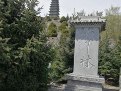 -雁门关景区
