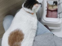 -嘉馨宠物医院·CT影像转诊·心脏科·犬猫全科诊疗中心(下沙大学城院区)