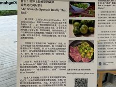 -三里屯东五街银杏大道