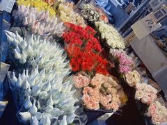 -循礼门鲜花花市(武汉循礼门店)