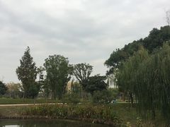 -东湖落雁景区