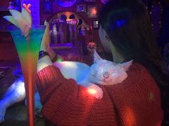 -星宿秘码(鼓浪屿老店)