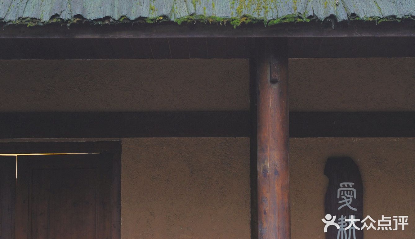常德 | 隐居在桃花源🍃推开窗便是绿树田园