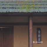 常德 | 隐居在桃花源🍃推开窗便是绿树田园
