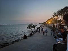 -宝安西湾红树林湿地公园