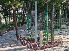 -嘉定紫藤园