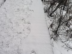 -峡谷浮石林景区