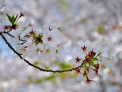 -龙美术馆(西岸馆)