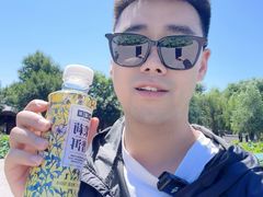 -白洋淀景区