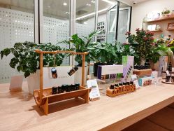 -dōTERRA多特瑞精油生活馆