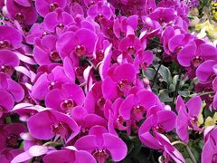 -UNI UNI(环亚凯瑟琳店)