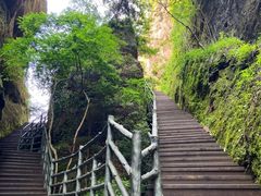-江西龙虎山景区