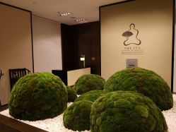 -广州文华东方酒店·水疗中心