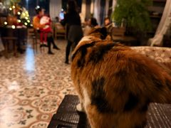 -BUND·FIVE外滩5号(天际店)