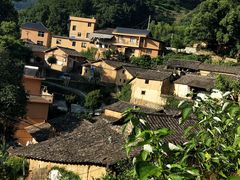 -杨家堂村