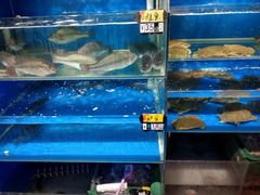 -岳各庄批发市场(西四环中路店)