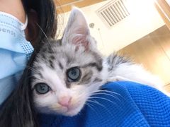 -北京恒爱动物医院(清景园分院)