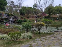 -东莞植物园