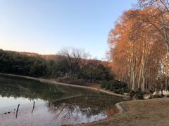 -河南省黄河迎宾馆